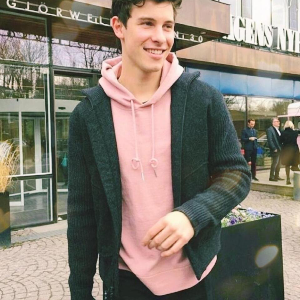 Shawn mendes merch lost in sale japan hoodie