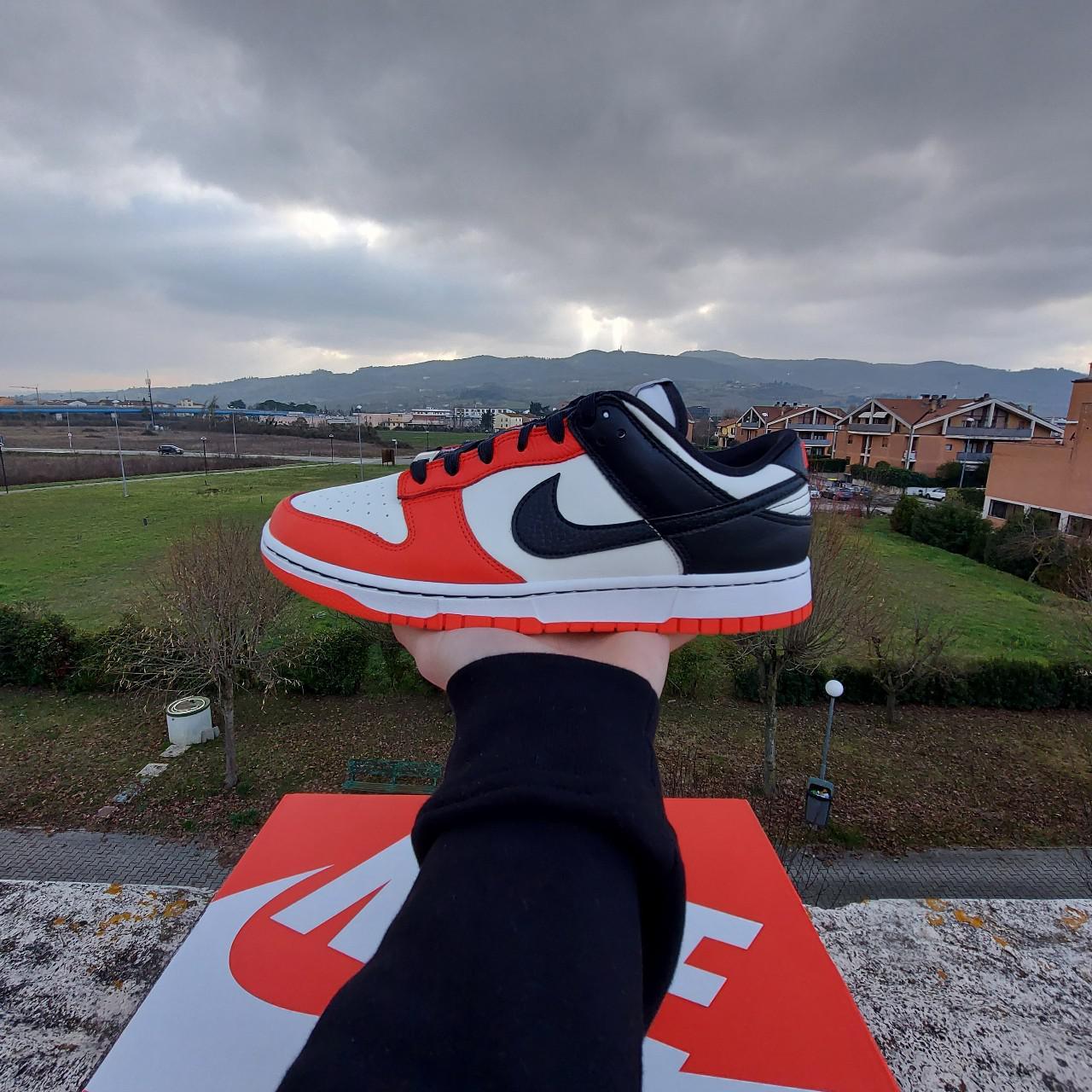 dunk low nba chicago