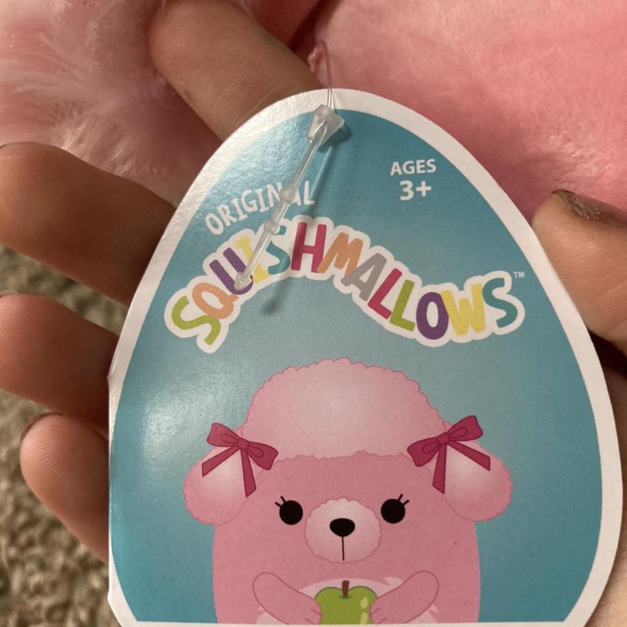 chloe poodle squishmallow