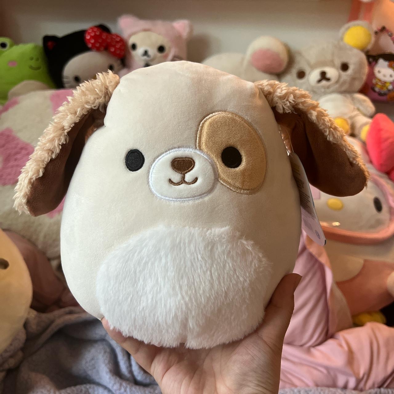 squishmallow harrison dog