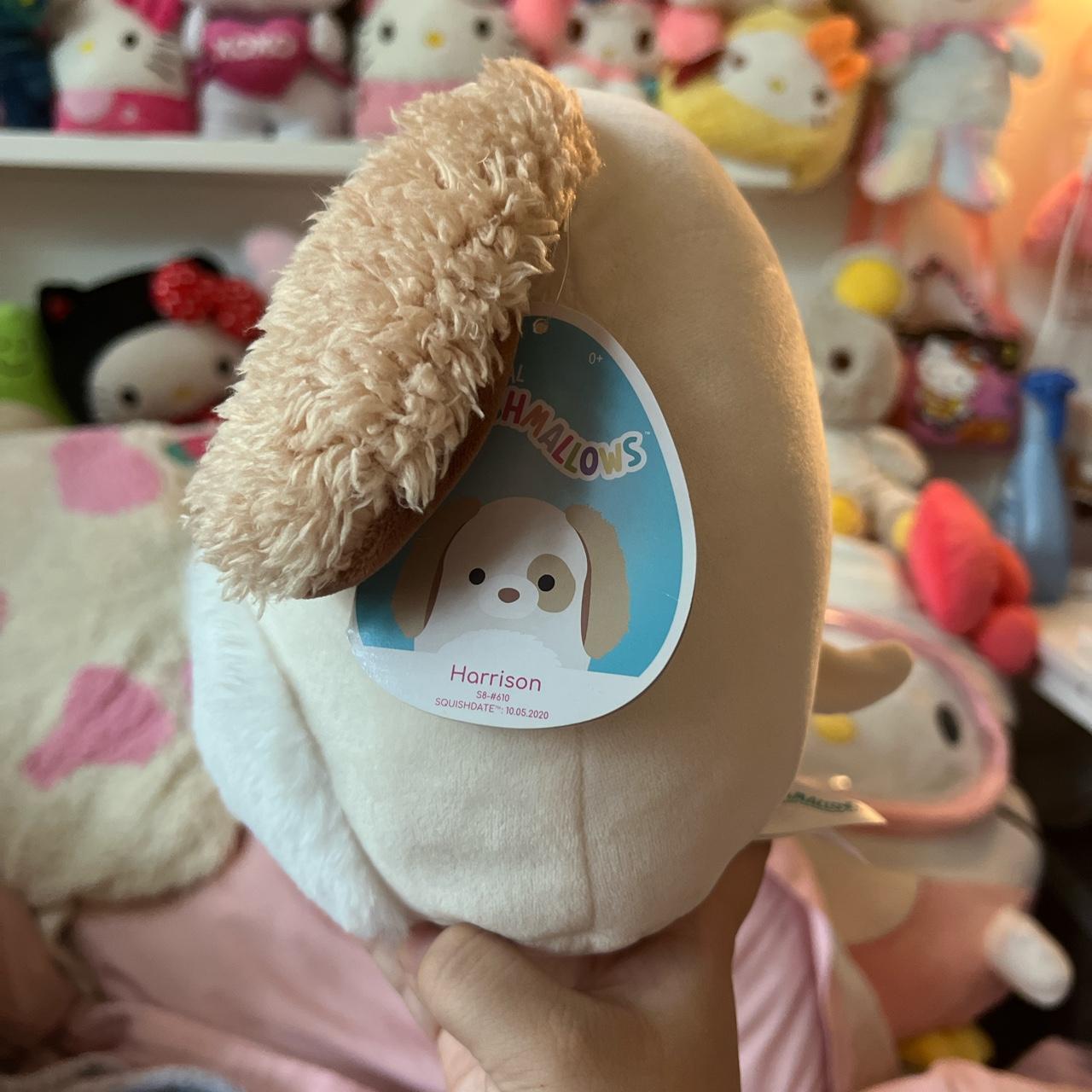 squishmallow harrison dog