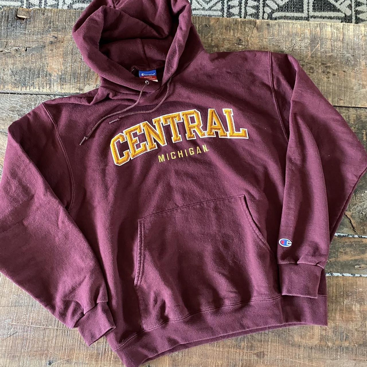 Champion best sale velvet sweatshirt