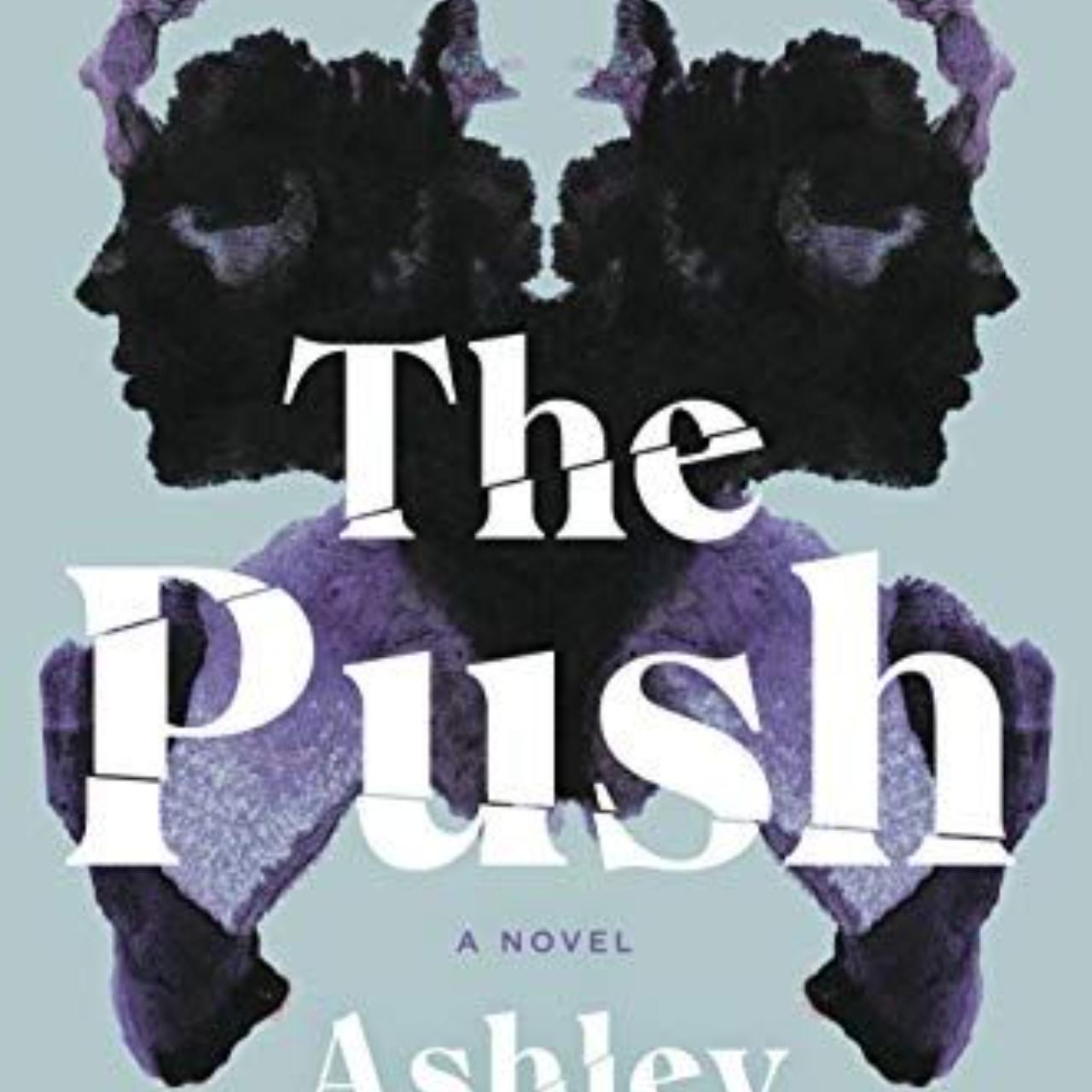 The Push A Novel PDF BOOK Depop