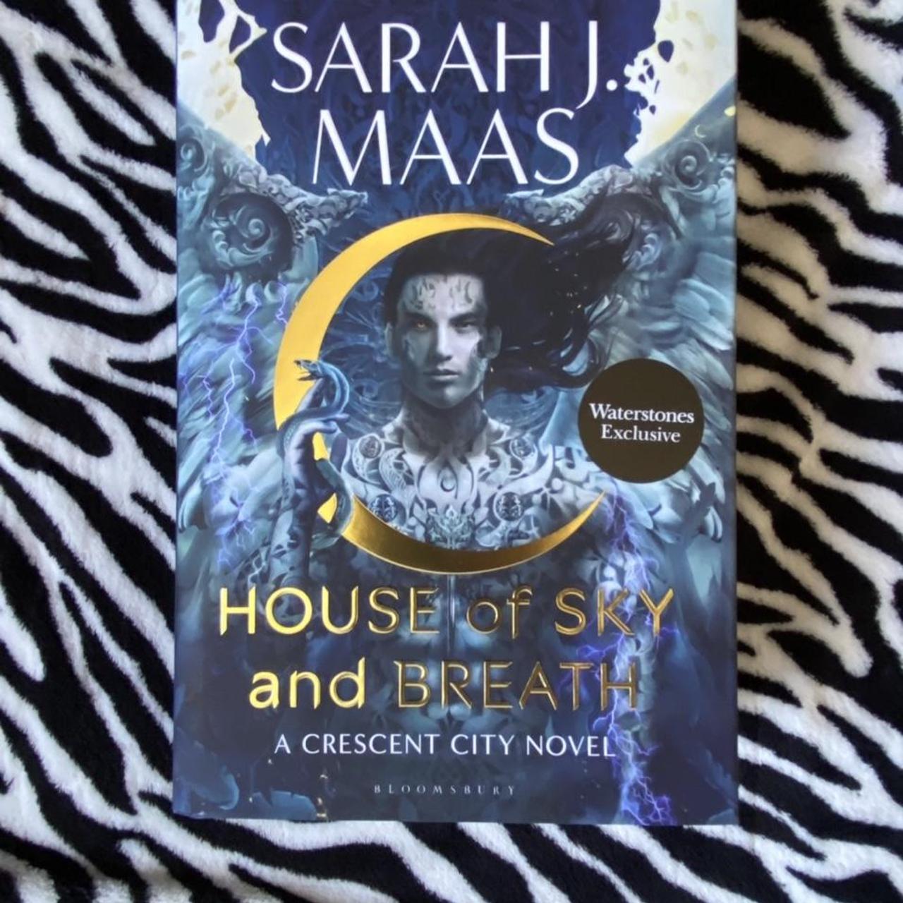 Brand New Waterstones special edition House of Sky... - Depop