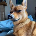 lucydeppvintage's profile picture