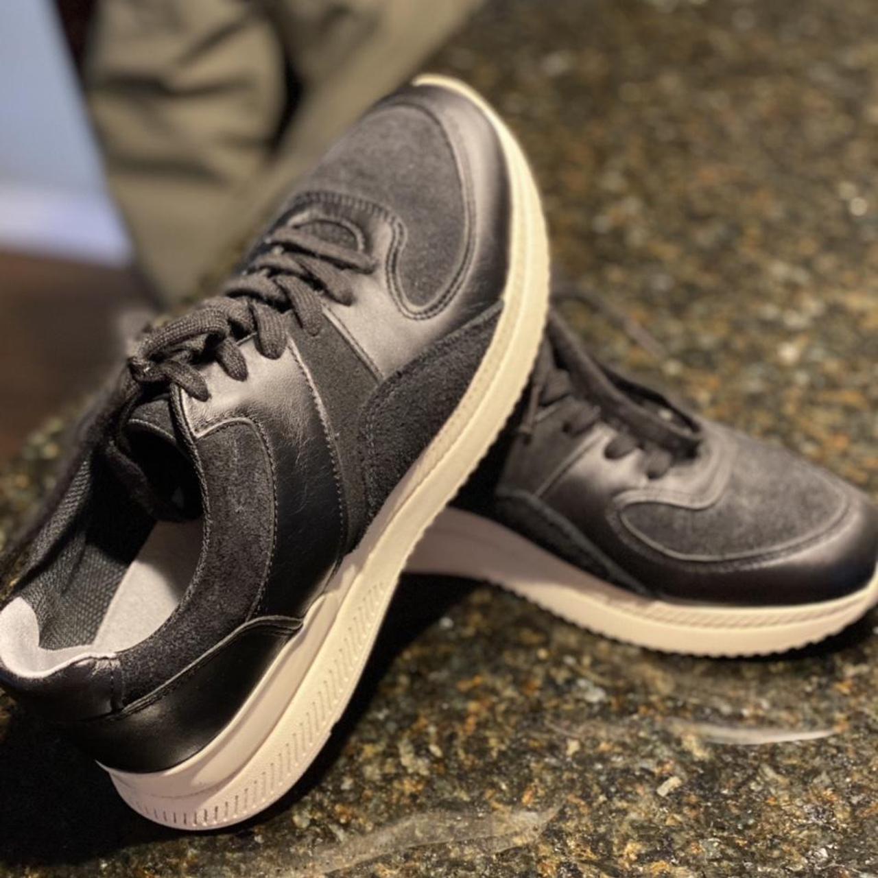 everlane white sneakers