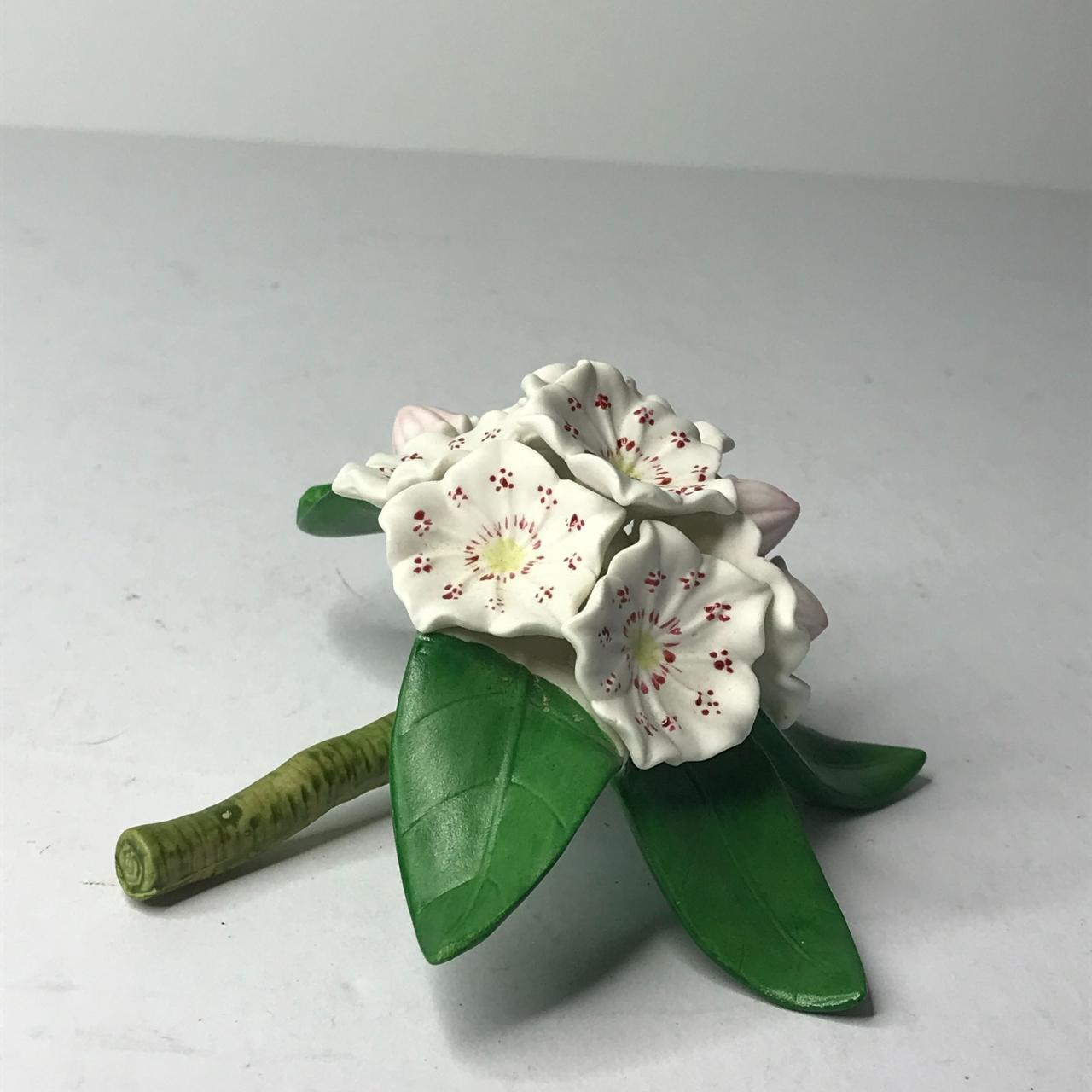 Lenox Mountain Laurel Fine Porcelain Garden Flower... - Depop