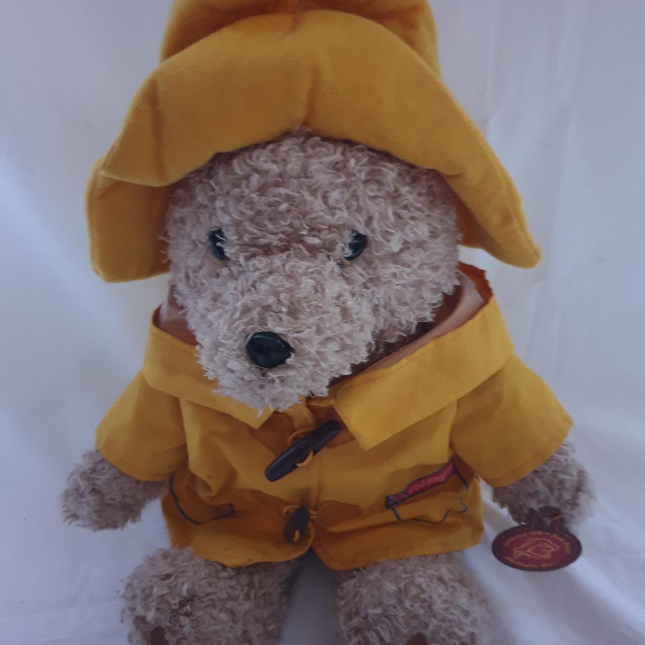 Paddington bear raincoat 2025 for adults