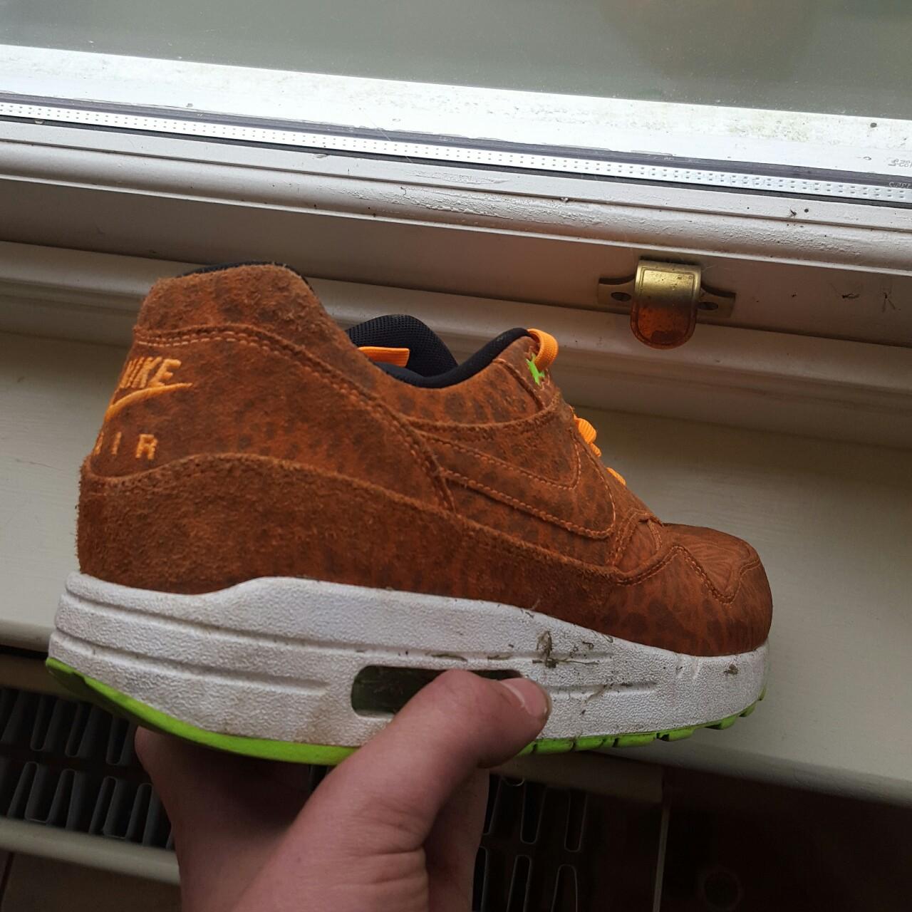 am1 safari
