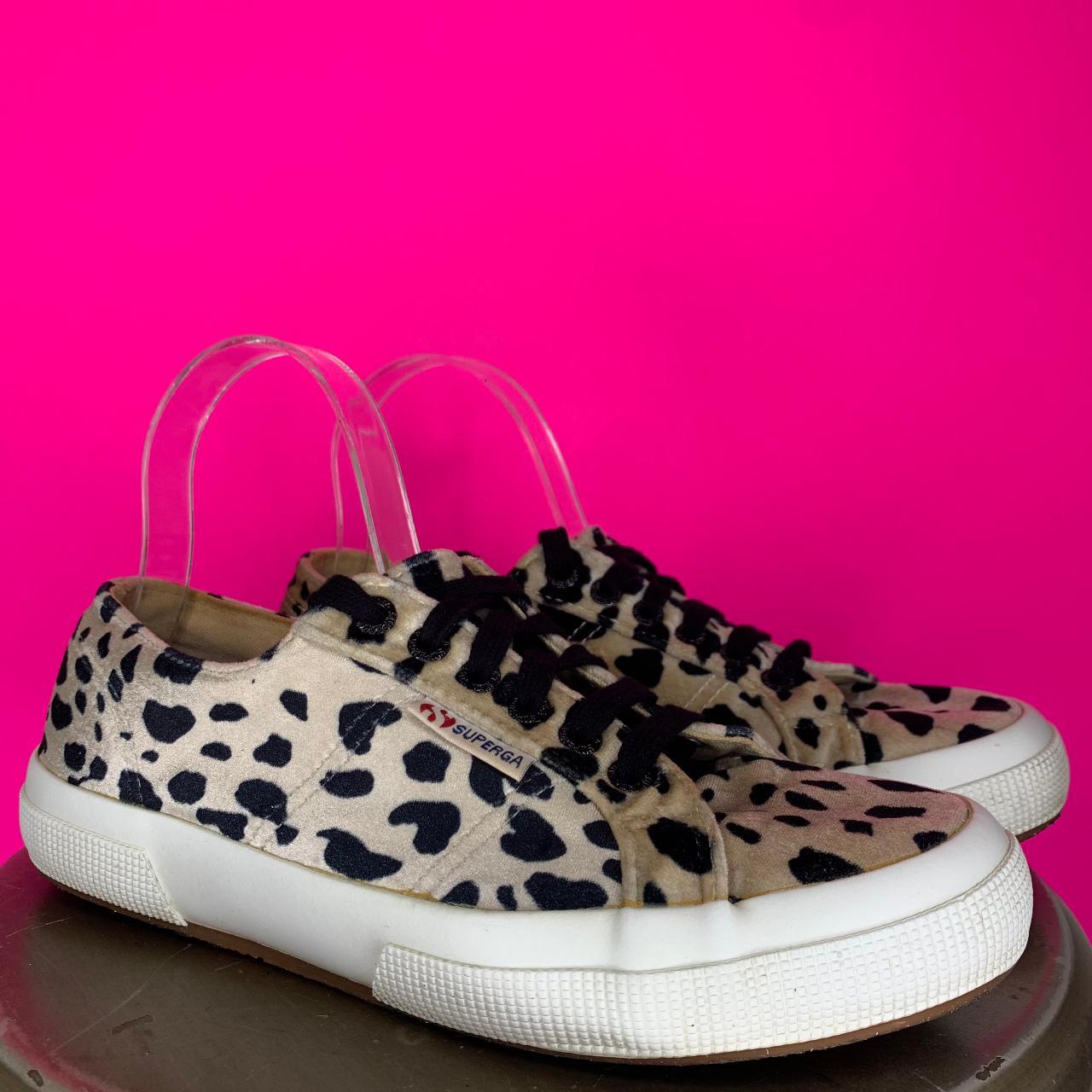 superga dalmatian