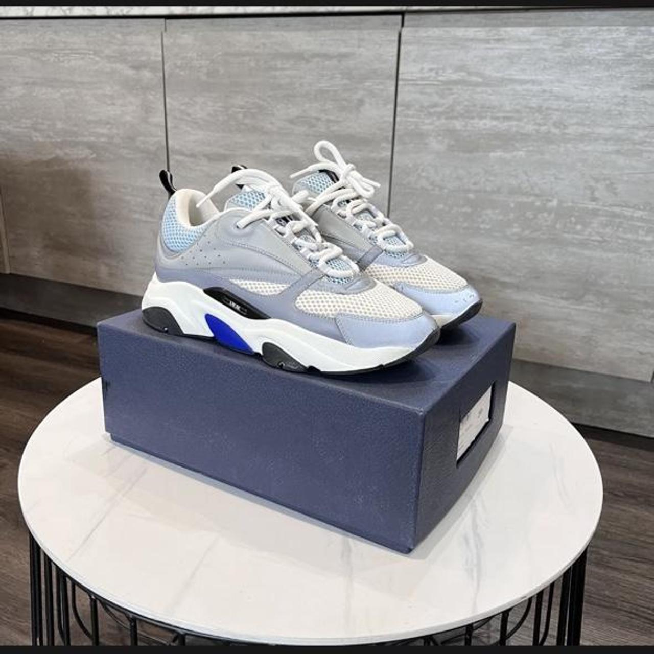Christian Dior B22 (Baby Blue White, Calfskin Mesh... Depop