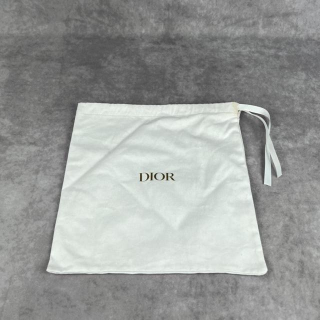 Dust 2024 bag dior