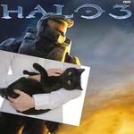 countersharts's profile picture