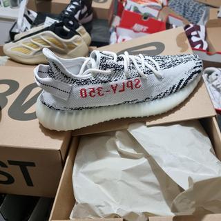 size 8 yeezy zebra