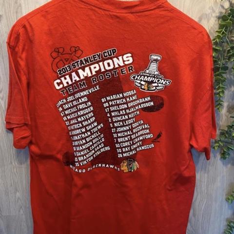 Modern Stanley Cup shirt, NHL grey graphic tee - AU - Depop