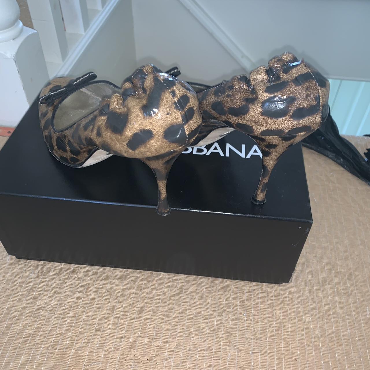 dolce gabbana shoes leopard