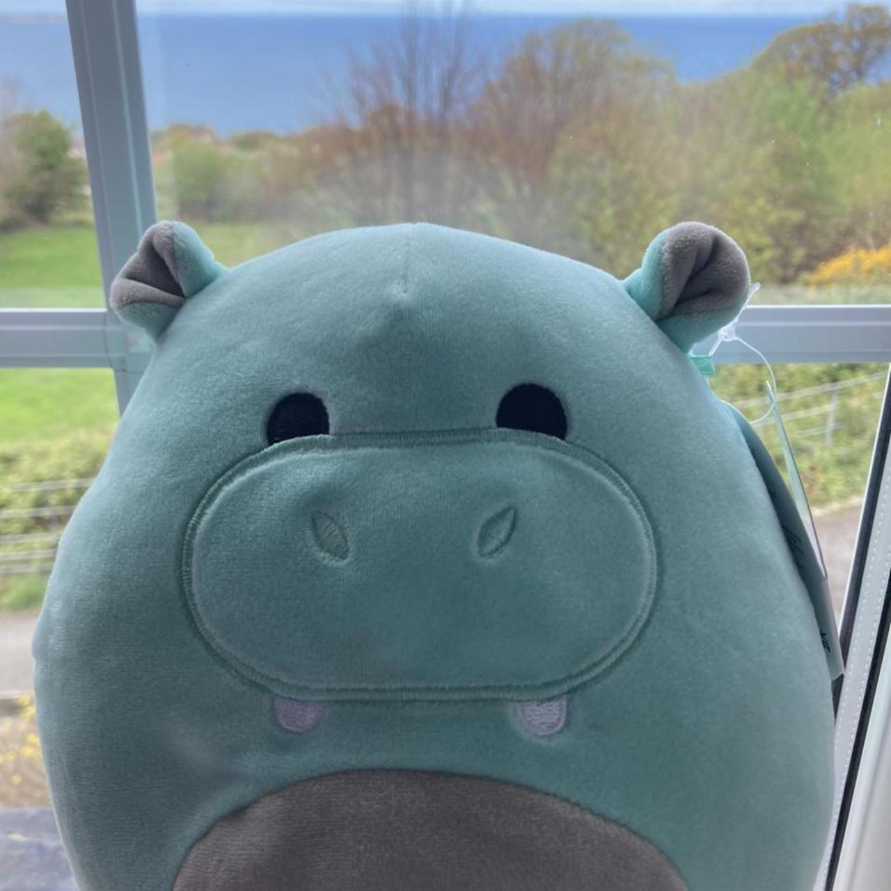 hanky the hippo