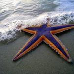 vintageb97's profile picture