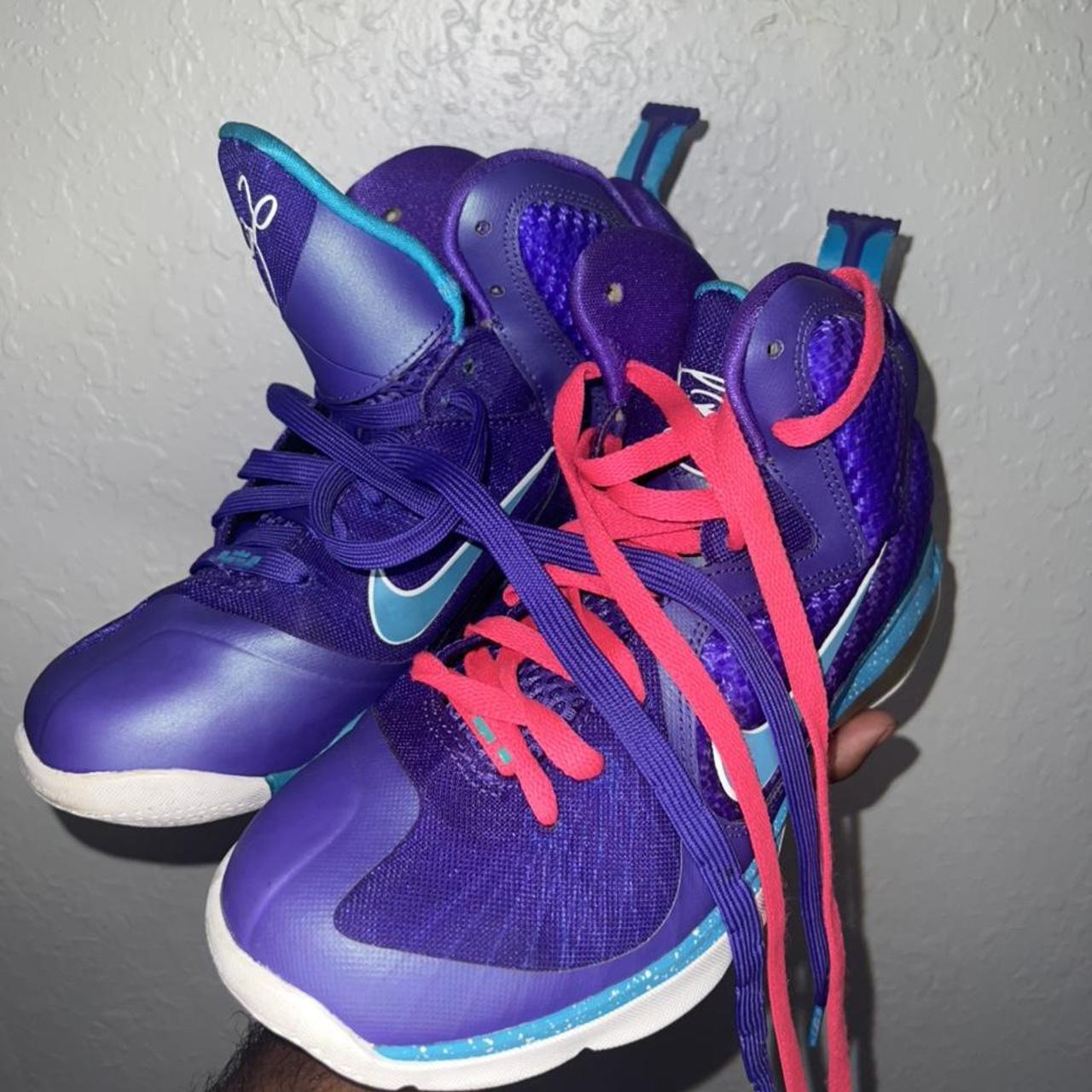 lebron hornets