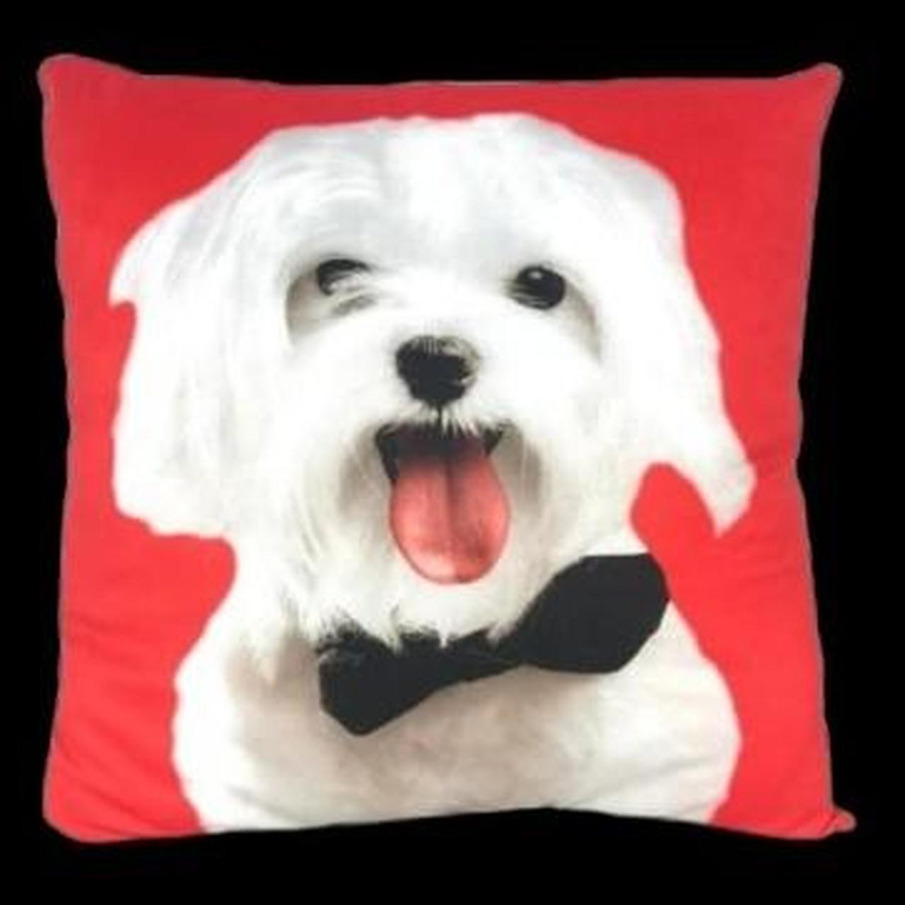 Product Image 1 - NEW DOG PILLOW
Home Bedroom Decor
18x18