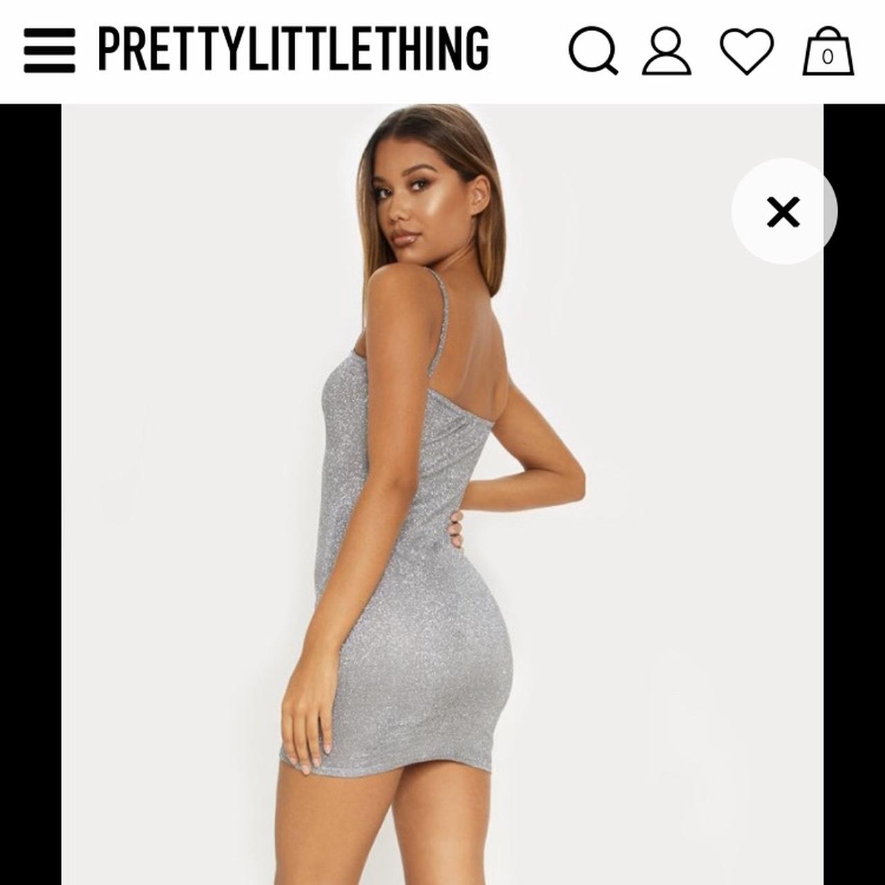 Plt shop silver dress