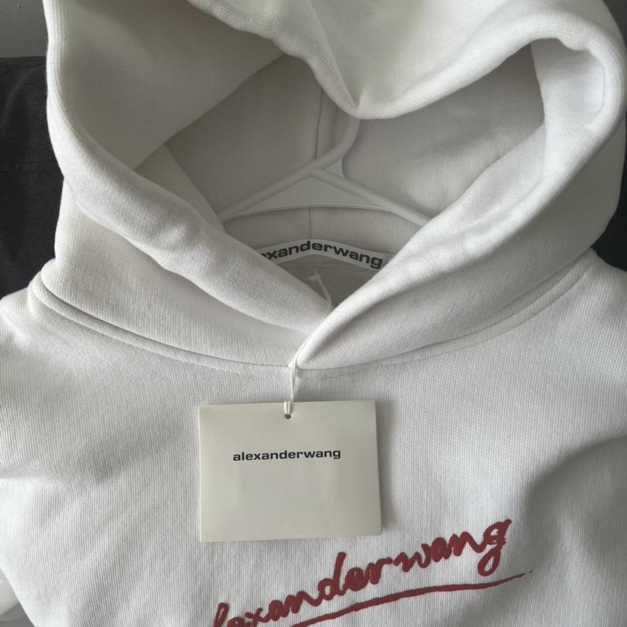 ALEXANDER WANG LIPSTICK GRAPHIC HOODIE SIZE SMALL IN... - Depop