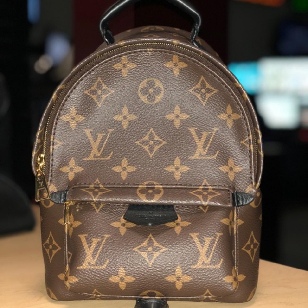 Louis Vuitton Palm Spring mini backpack Bought - Depop