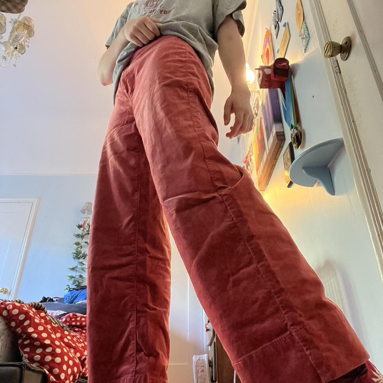 Loft velvet clearance pants