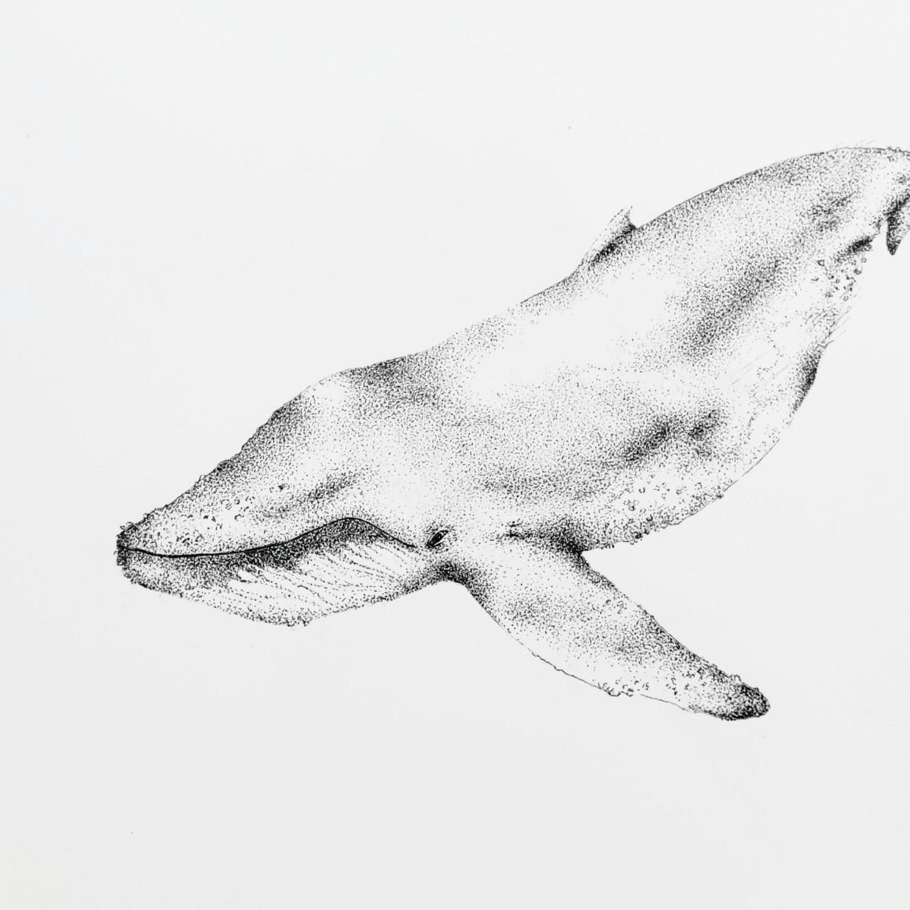 Black and White Prints Depop