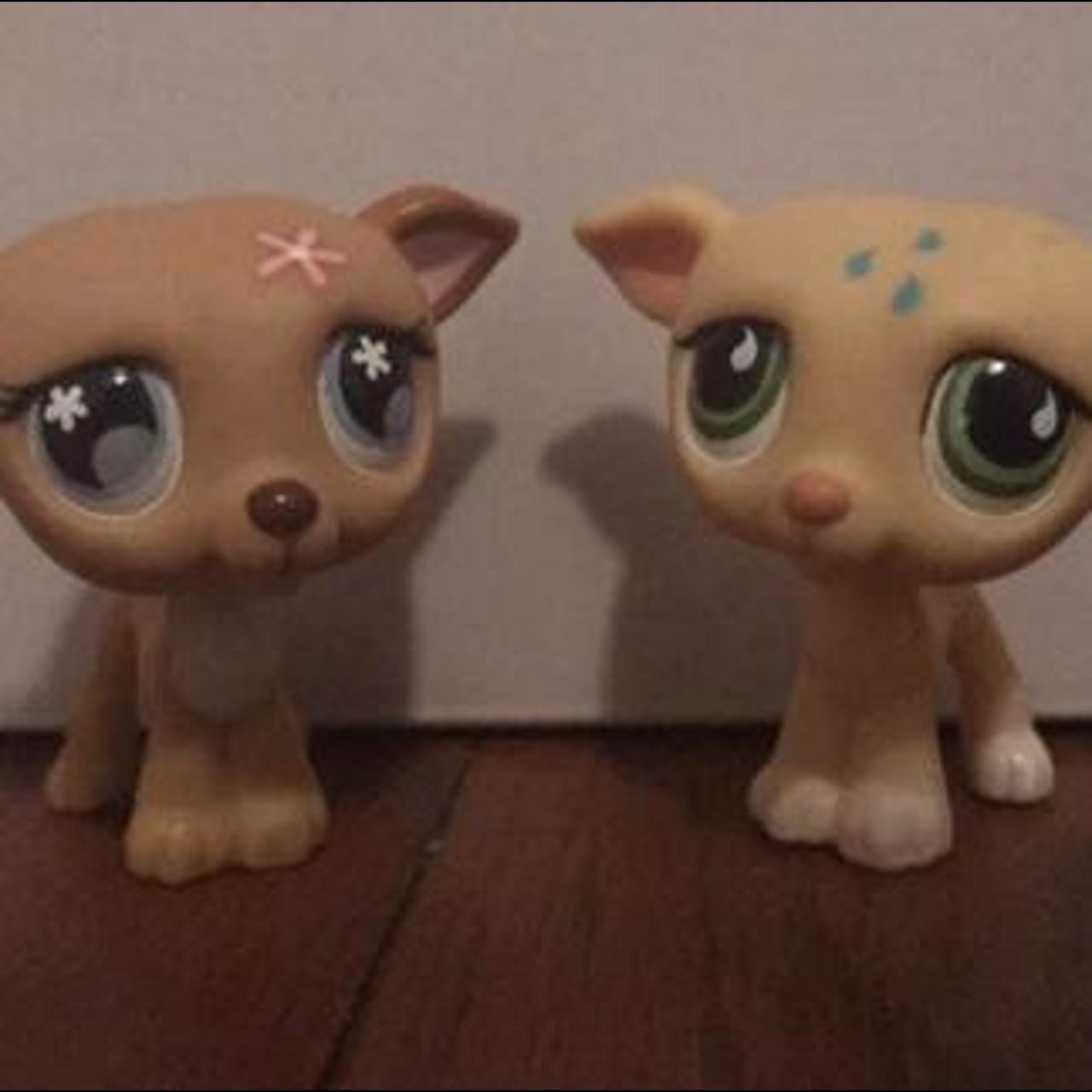 Littlest pet shop clearance greyhound