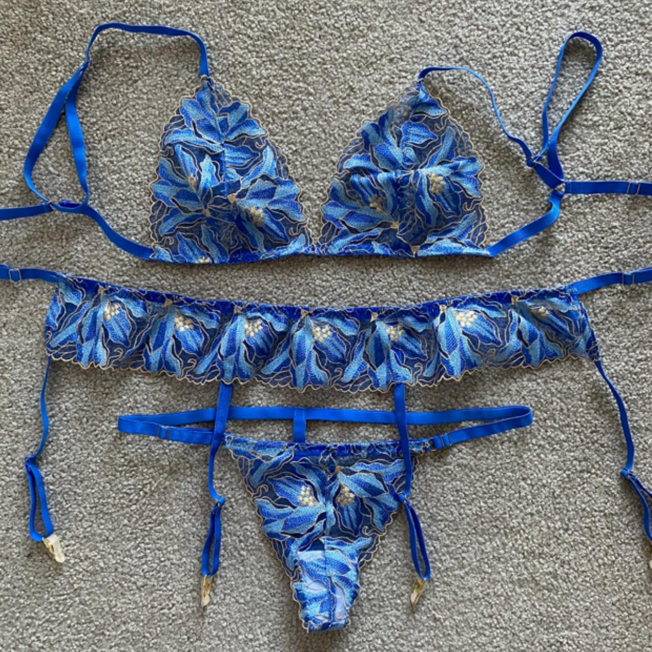 Blue Harness Brazaar Lingerie Set Only worn for a... Depop
