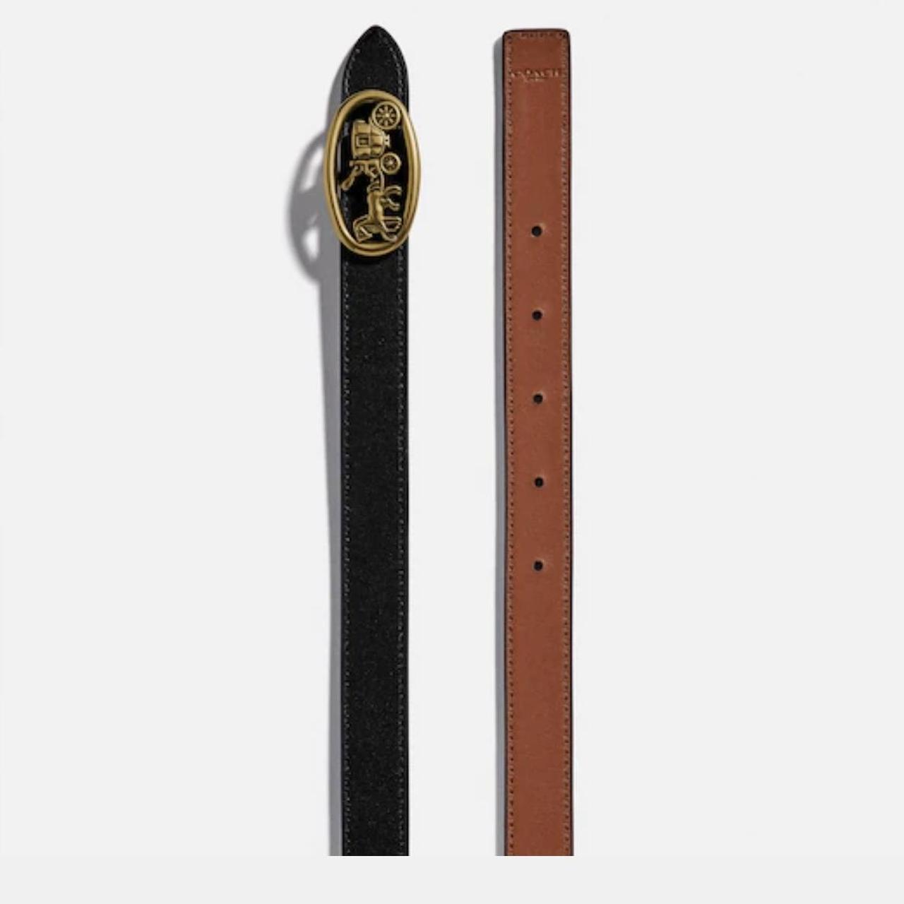 horse and carriage belt coach