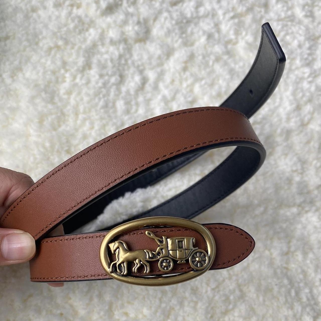 horse and carriage belt coach