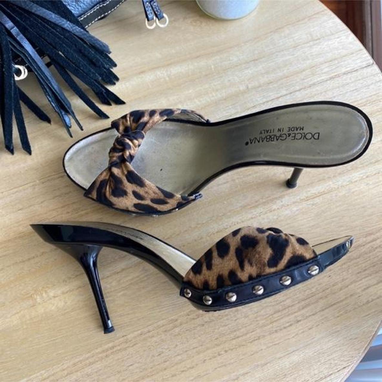 dolce and gabbana leopard shoes