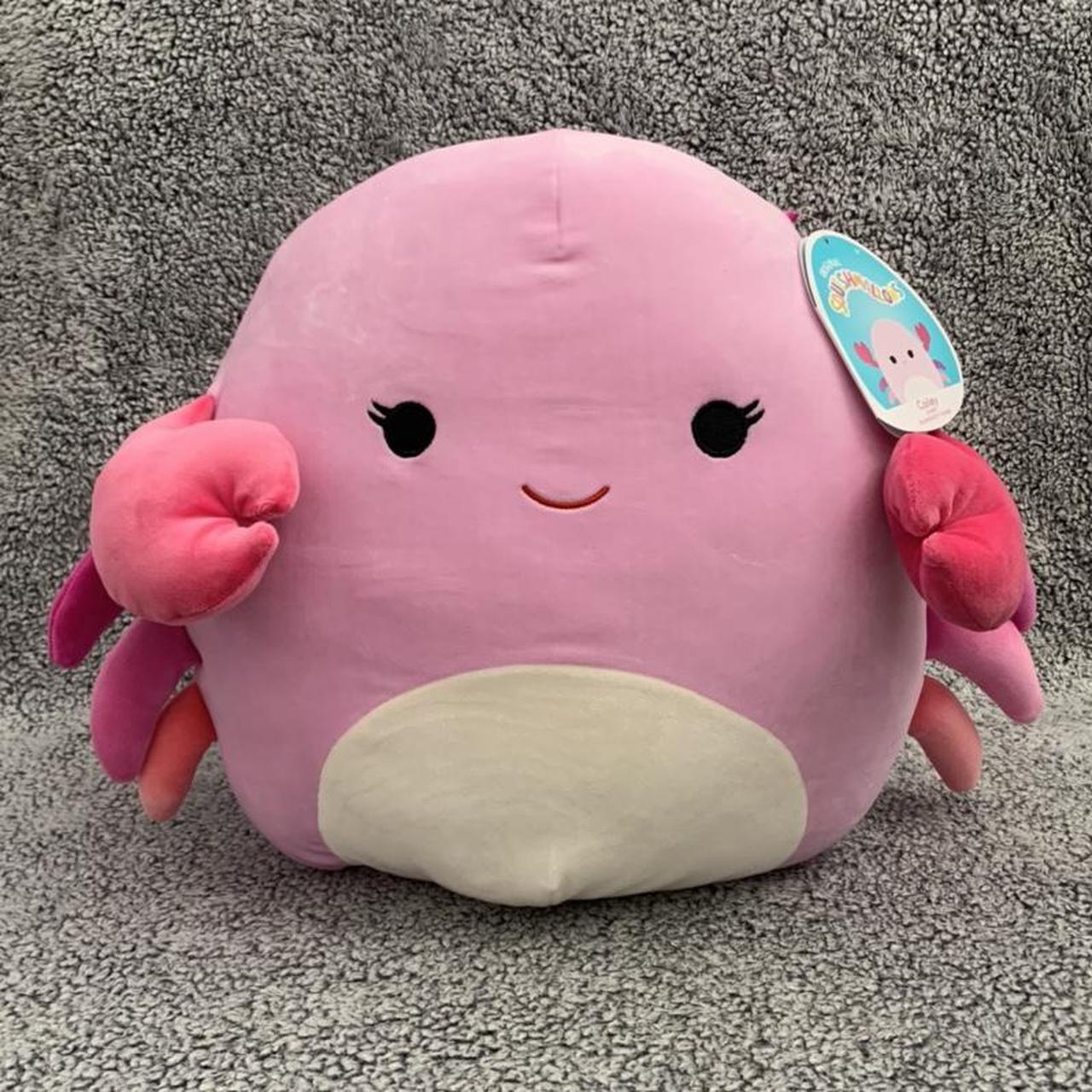 14” cute CAILEY the CRAB Kellytoy Squishmallow Sea Life 2021 NWT Plush Toy Details about   YaY 