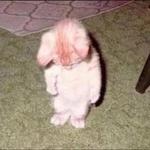 moonstarxx's profile picture