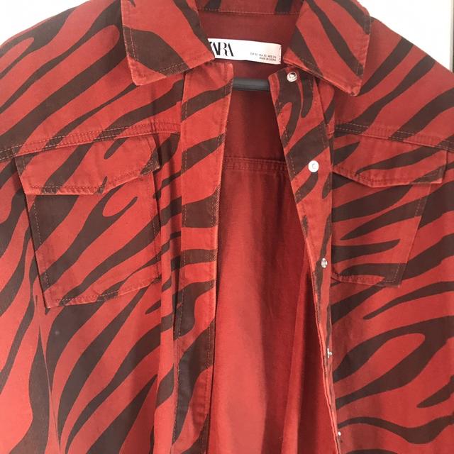 Zebra hotsell jacket zara