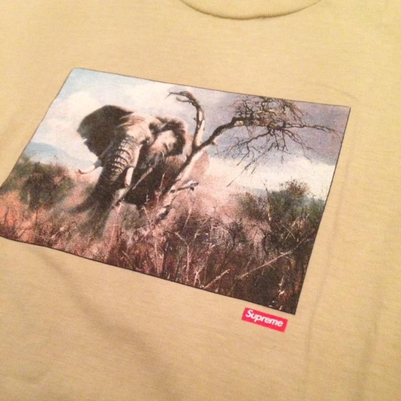 Supreme sales safari tee