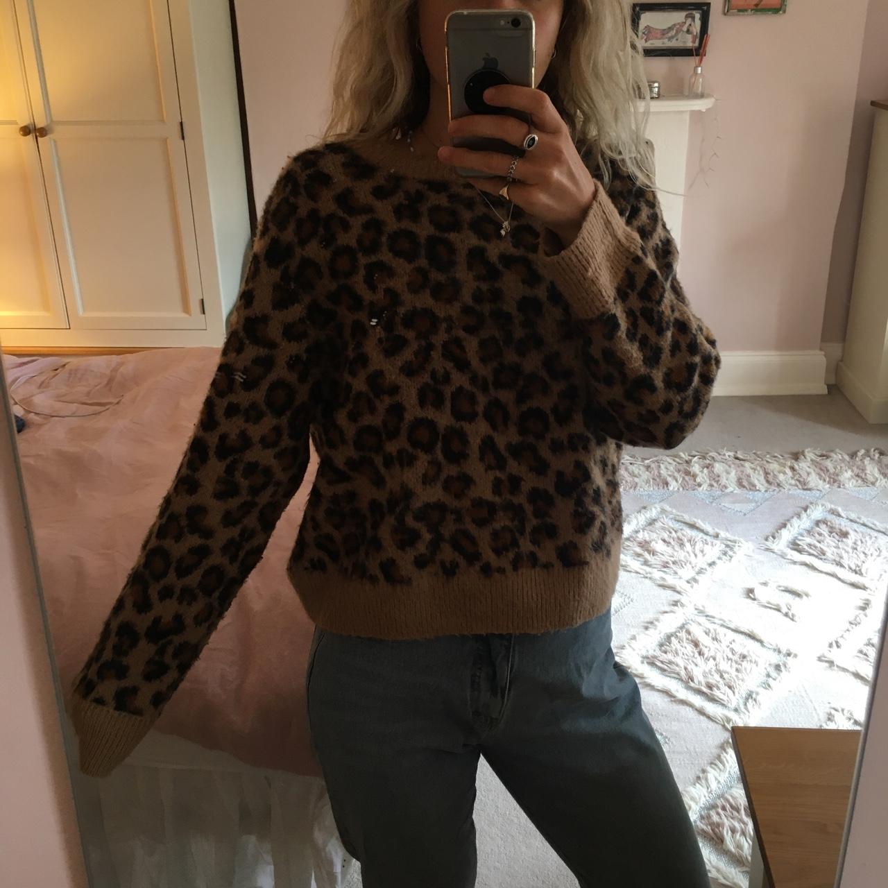 H&m leopard hotsell print sweater