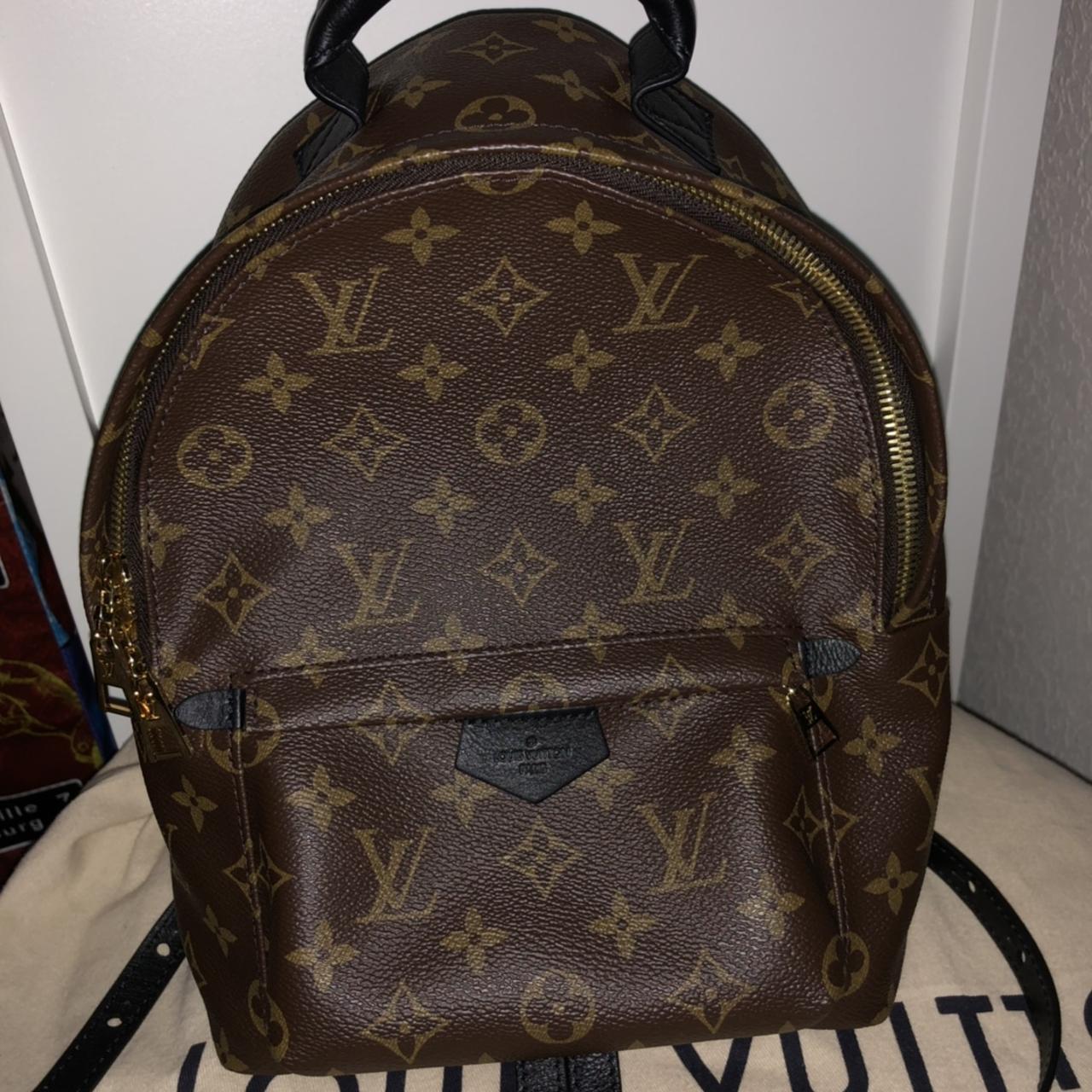 Lv palm spring backpack Bag only - Depop