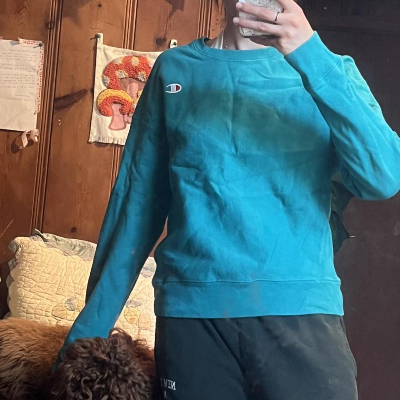 Champion hotsell teal sweater