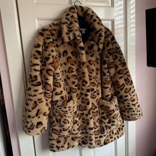 hollister leopard coat