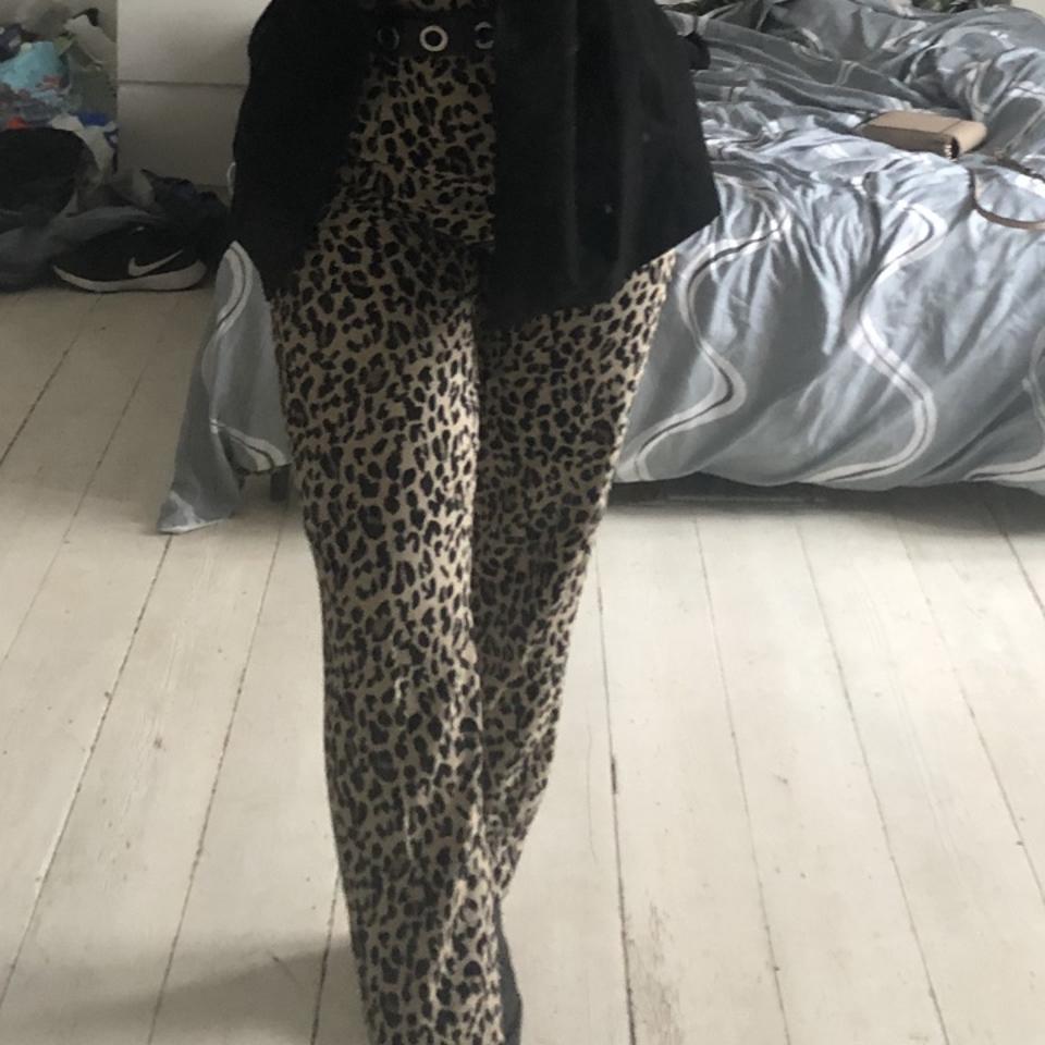 Animal print trousers sales zara