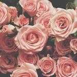 graziascau's profile picture