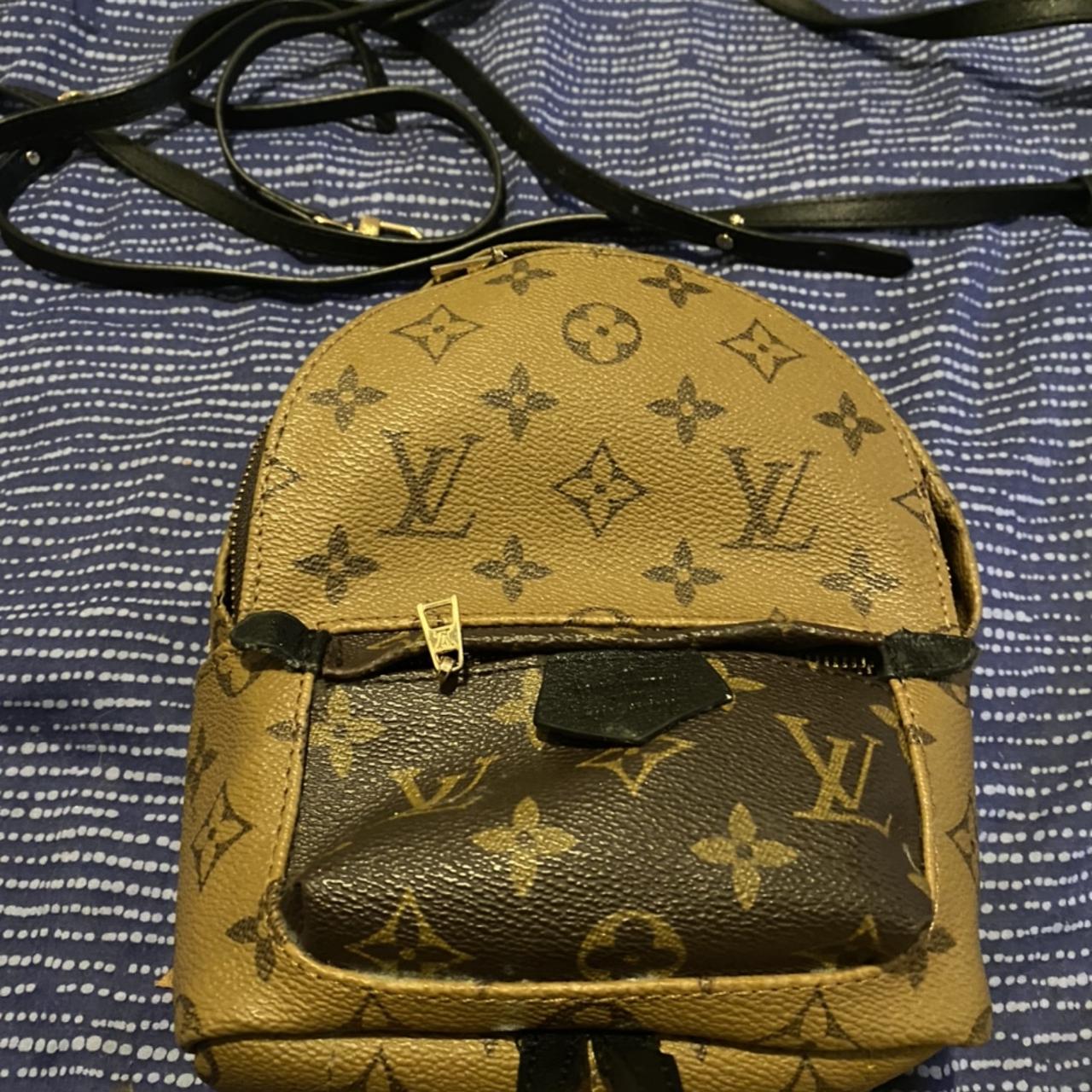 Louis Vuitton, Bags, Louis Vuitton Reverse Monogram Mini Palm Springs  Backpack