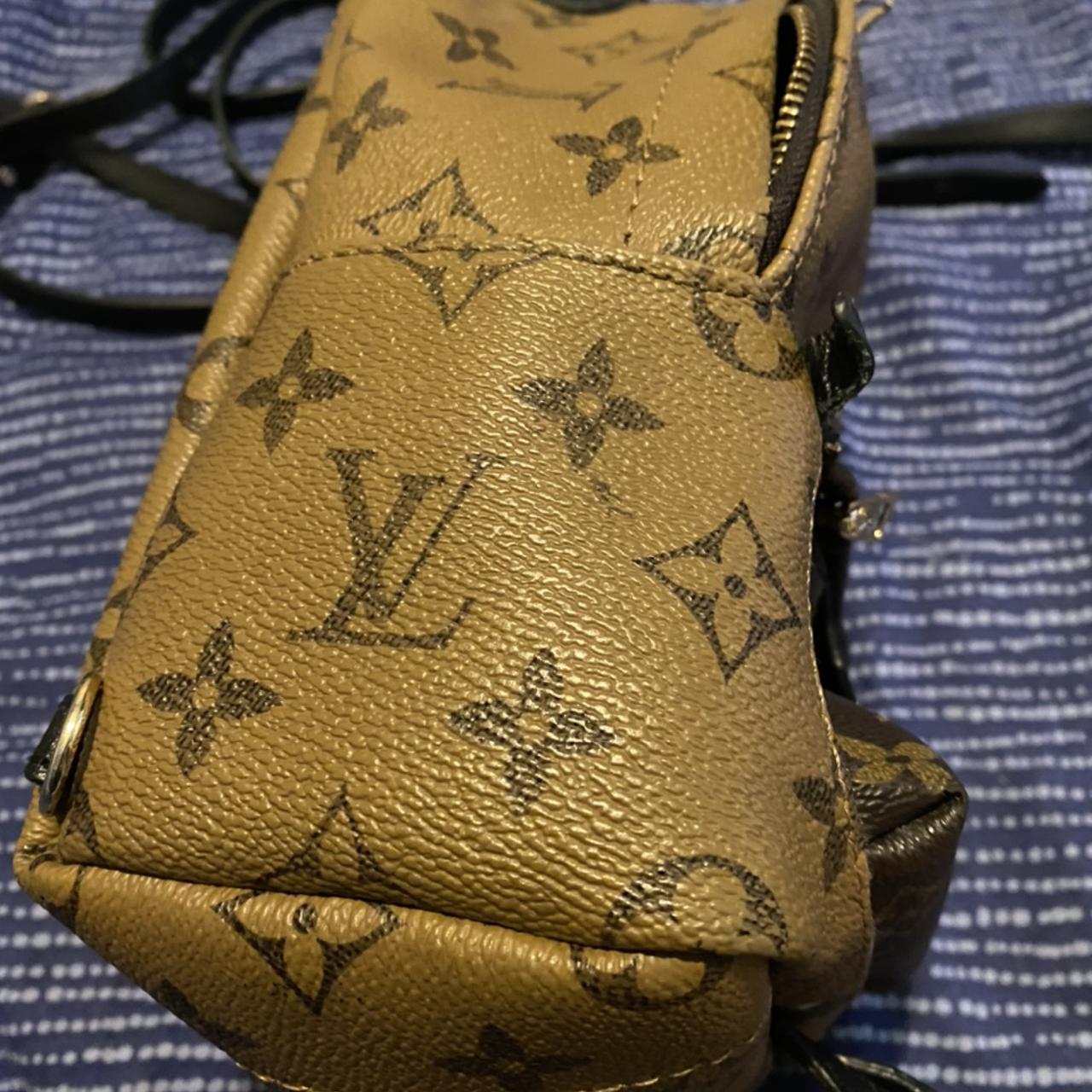 Louis Vuitton Palm Springs mini bag Signs of wear - Depop