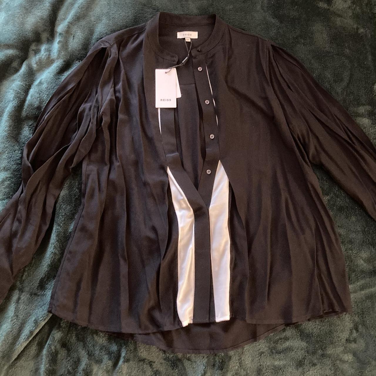 dolphin in pismo beach