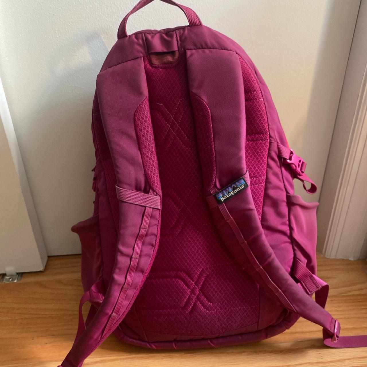 Pink patagonia backpack online