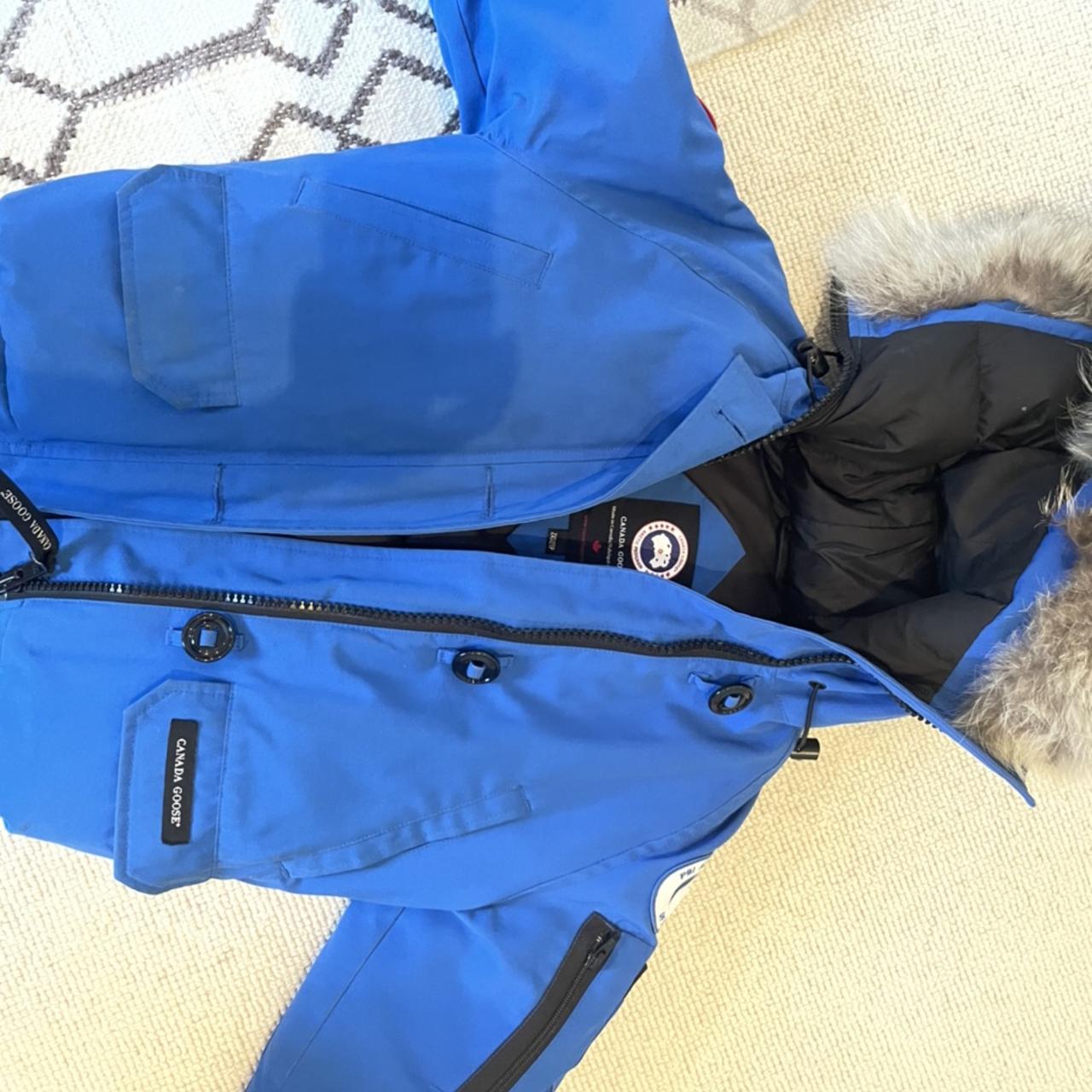 electric blue canada goose