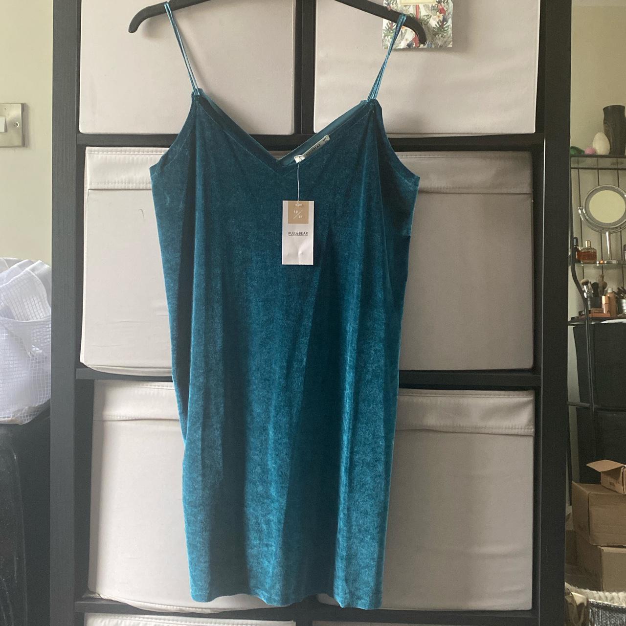 Pull and shop bear velvet dress